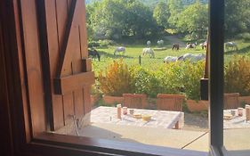 Check-In Casas Cumbre De Benasque